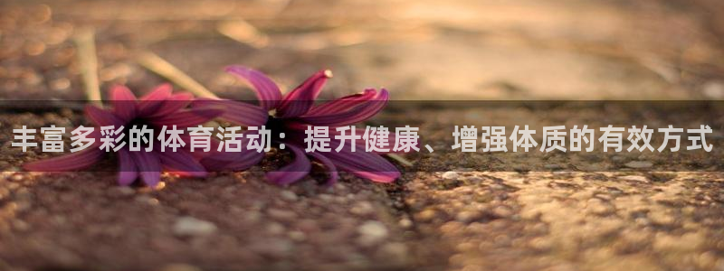 JJB竞技宝官网下载平台注册要钱吗安全吗:丰富多彩的体育活动