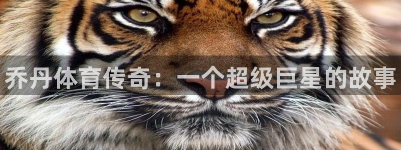 JJB竞技宝官方正版app集团E.ON:乔丹体育传奇:一个超