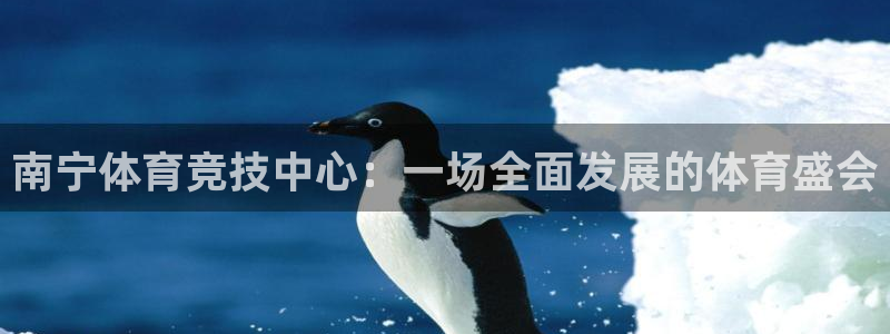 JJB竞技宝官网下载平台注册要钱吗安全吗:南宁体育竞技中心: